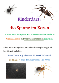 Kinderdars : die Spinne im Koran - Iman