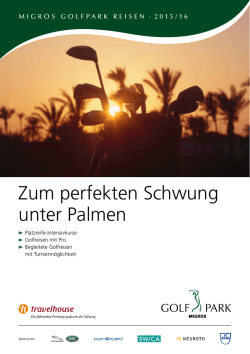 Zum perfekten Schwung unter Palmen
