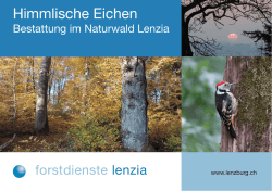 Himmlische Eichen