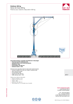 Drehkran 300 kg Swivel Jib Crane 300 kg Potence pour stations d