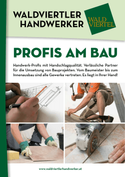 Profis am Bau - Waldviertler Handwerker