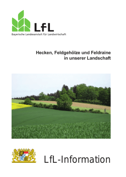 Hecken, Feldgeh&ouml;lze und Feldraine in unserer Landschaft