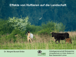 Bunzel-Drüke: Effekte von Huftieren auf die Landschaft