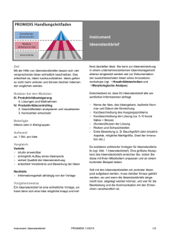 Instrument Ideensteckbrief