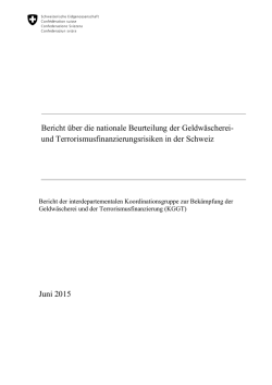 Bericht über die nationale Beurteilung der Geldwäscherei