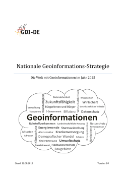 Nationale Geoinformations-Strategie, Version 1.0