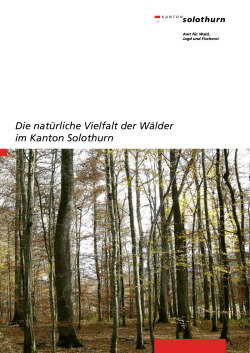 Die natürliche Vielfalt der Wälder im Kanton Solothurn