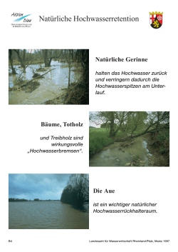Natürliche Hochwasserretention