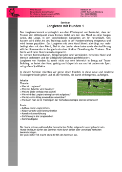 Longieren mit Hunden 1