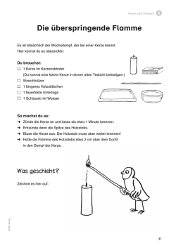 Die &uuml;berspringende Flamme - AOL