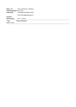 Modul - Ort Feuer und Flamme