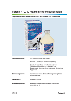 Cefenil RTU, 50 mg/ml Injektionssuspension