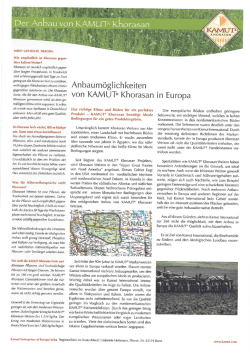 Der Anbau von KAMUT