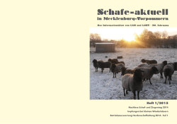 Schafe-aktuelle 1-2015/ 2467 kB