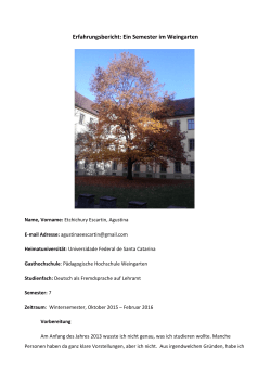 Bericht - Pädagogische Hochschule Weingarten