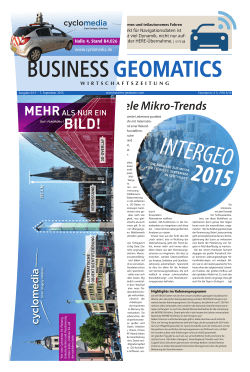 Viele Mikro-Trends - Business Geomatics