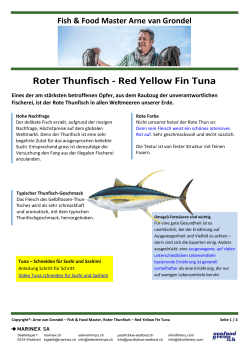 Roter Thunfisch - Red Yellow Fin Tuna