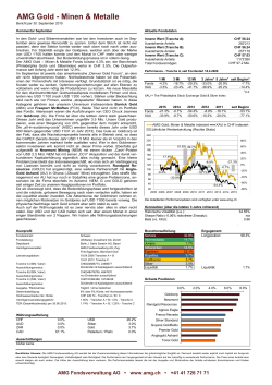 AMG Gold - Minen & Metalle