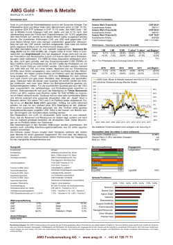 AMG Gold - Minen & Metalle