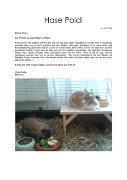 Hase Poldi - Tierschutzverein Offenbach