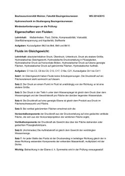 Eigenschaften von Fluiden: Fluide im Gleichgewicht: