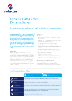 Factsheet Dynamic Server
