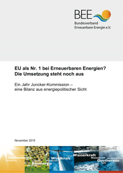Ein Jahr Juncker