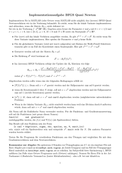 Implementationsaufgabe BFGS Quasi Newton
