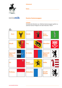 Domino Kantonswappen