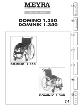 domino 1.350 dominik 1.340
