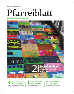 Domino-Day - Pfarreiblatt