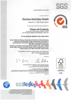 Domino-Vertriebs GmbH