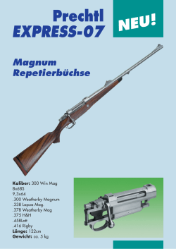 Prechtl Express 07 Magnum Repetierbüchse
