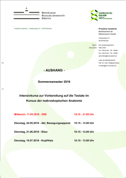 Intensivkurse zur Testatvorbereitung