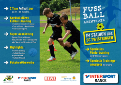 Infoflyer zum Fu&szlig;ball-Abenteuer 2016 in Twistringen PDF