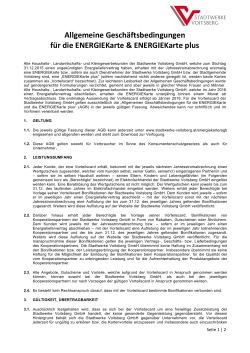 PDF-Download AGBs Energiekarte