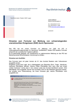 Hinweise zum Formular zur Meldung von schwerwiegenden