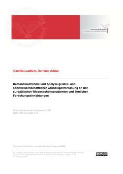 Camilla Leathem, Dominik Adrian Bestandsaufnahme und Analyse