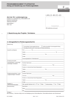 Formular LWLD-Wi/E-65: Programmdokument FTI-Struktur