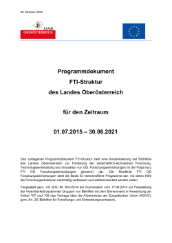 Richtlinien Programmdokument FTI