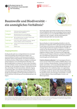 Projekt Förderung der Baumwollwirtschaft in Subsahara