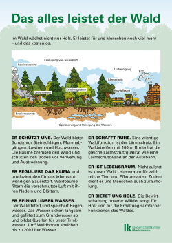 Infotafeln zum Thema Wald