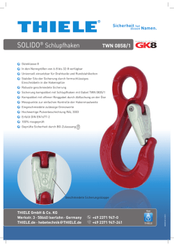 GK 8 Solido Schlupfhaken TWN 0858