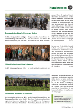 Hundewesen