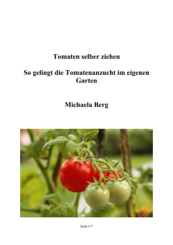 Tomaten selber ziehen So gelingt die Tomatenanzucht im eigenen
