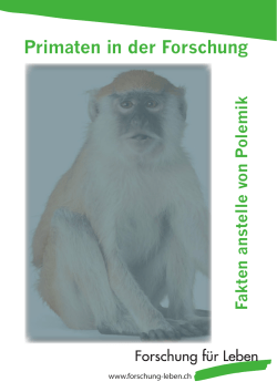 Flyer - Primaten in der Forschung