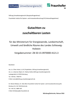 Gutachten zu zuschaltbaren Lasten