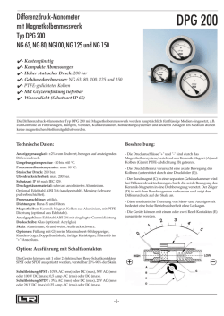 DPG 200 - DRUCK & TEMPERATUR Leitenberger GmbH