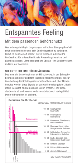 flyer-gehoerschutz