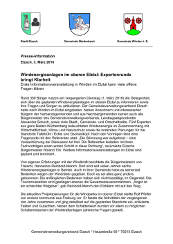 Windenergieanlagen im oberen Elztal: Expertenrunde bringt Klarheit